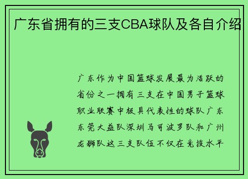 广东省拥有的三支CBA球队及各自介绍